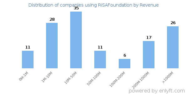 RISAFoundation clients - distribution by company revenue