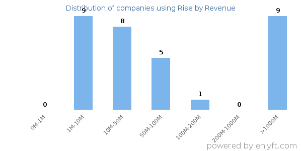 Rise clients - distribution by company revenue