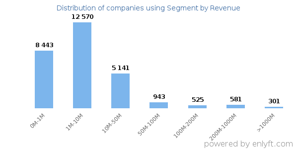 Segment clients - distribution by company revenue