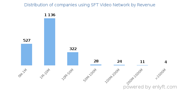 SFT Video Network clients - distribution by company revenue