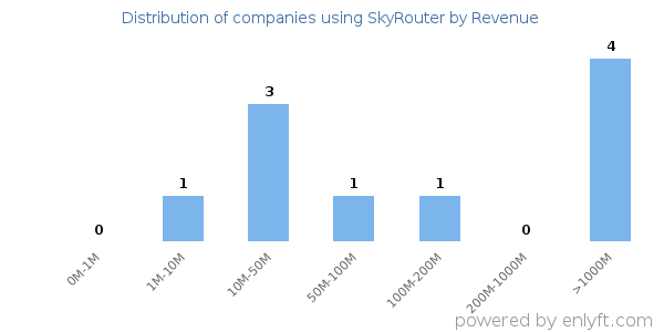 SkyRouter clients - distribution by company revenue