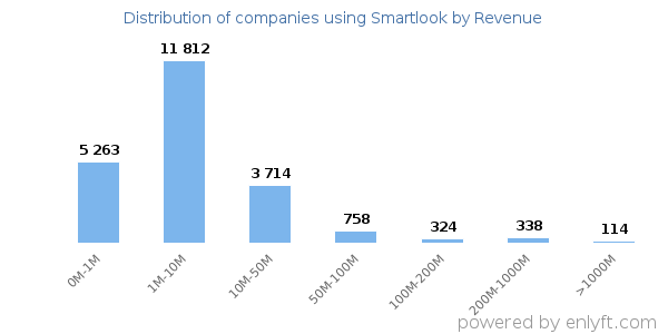 Smartlook clients - distribution by company revenue