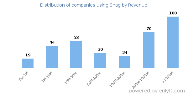 Snag clients - distribution by company revenue