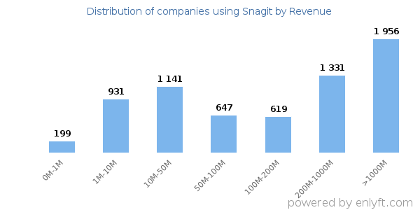 Snagit clients - distribution by company revenue