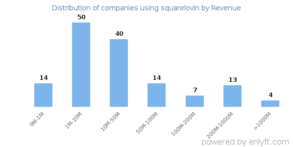squarelovin clients - distribution by company revenue