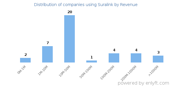 Suralink clients - distribution by company revenue