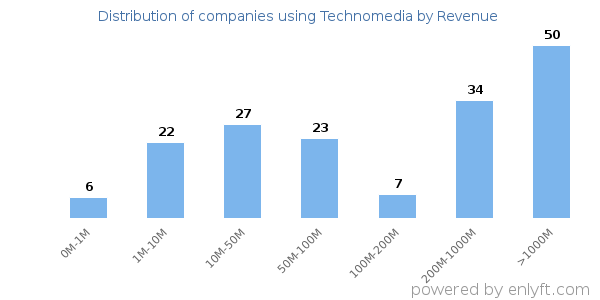 Technomedia clients - distribution by company revenue