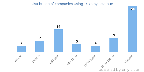 TSYS clients - distribution by company revenue