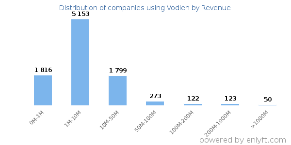 Vodien clients - distribution by company revenue