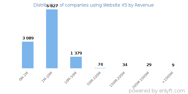 Website X5 clients - distribution by company revenue