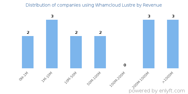 Whamcloud Lustre clients - distribution by company revenue