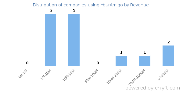 YourAmigo clients - distribution by company revenue